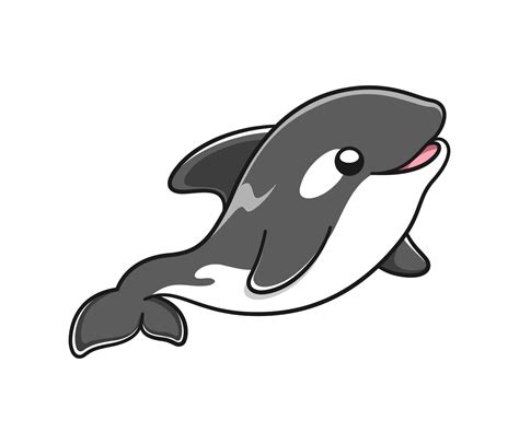 Cute Orca Whale Vector Illustration Killer Whale Cartoon Clipart