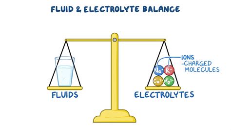 Fluid And Electrolyte Balance Osmosis Video Library