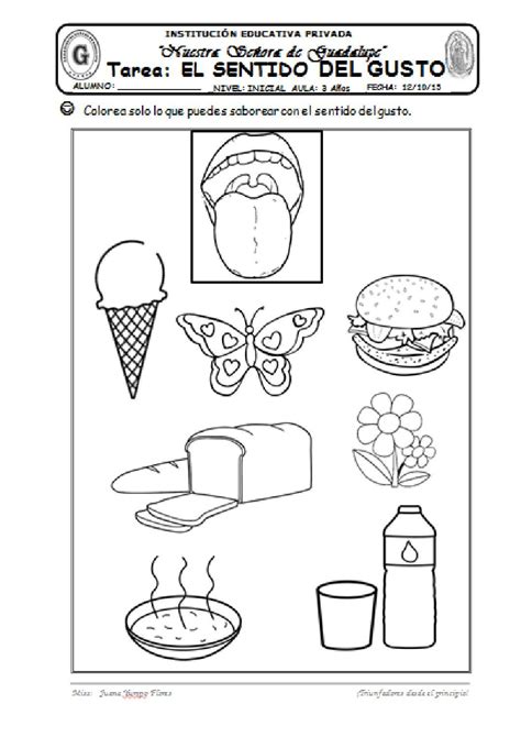 Tarea Sentido Del Gusto By Marivel Yumpo Issuu F D