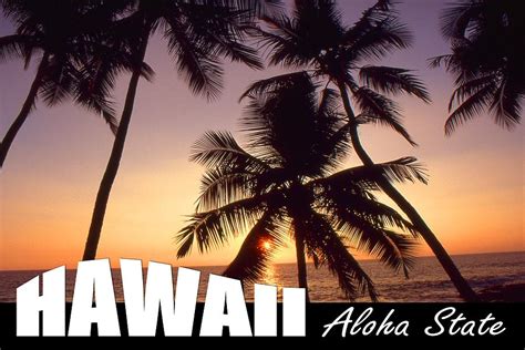 Hawaii Aloha State Poster Photograph By Peter Potter Fine Art America