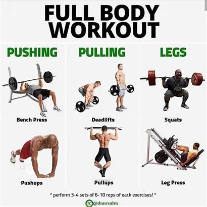 Workout Push Pull Split Legs Plan Weight