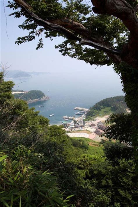 Koreas Most Scenic Public Bus Ride In Yeosu Secret Korea Discover