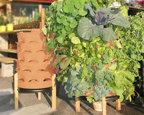 Terracotta Composting 50 Plant Garden Tower V11 With Images Diy