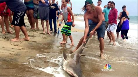 North Carolina Shark Attack Surge Keeps Beachgoers Out Of Water Nbc News