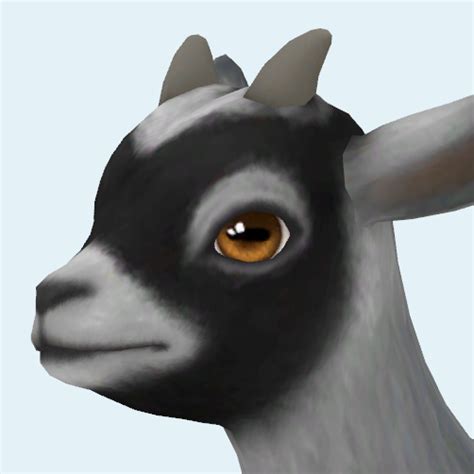 Install Soulmate Eyes For Mini Goats And Sheep Default The Sims 4