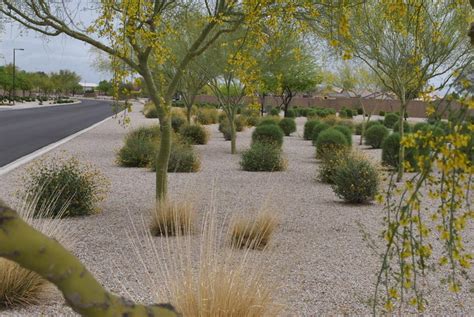 Desert Landscaping How To Create Fantastic Desert Garden Landscape