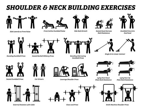Shoulder Exercises Names