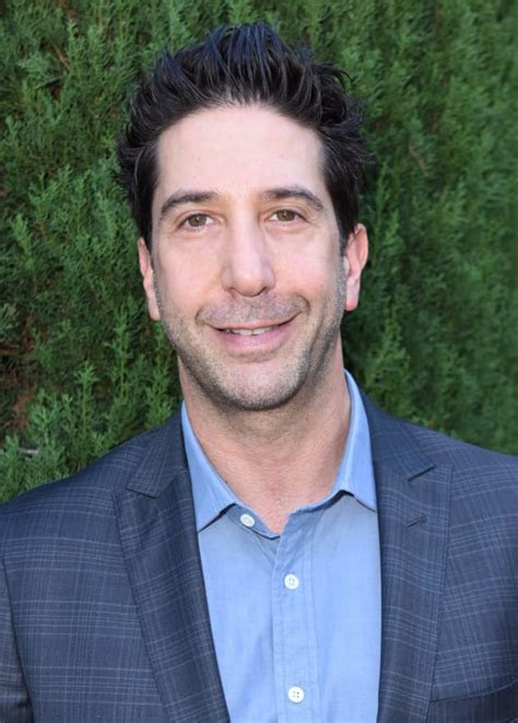 David schwimmer (born november 2, 1966) is an american actor and director, known for his role as ross geller on the sitcom friends. he has also appeared on the shows curb your enthusiasm and the wonder years. Will & Grace: David Schwimmer Lands Key Role! - TV Fanatic
