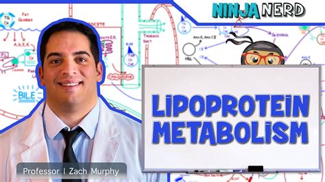 Metabolism Lipoprotein Metabolism Chylomicrons Vldl Idl Ldl