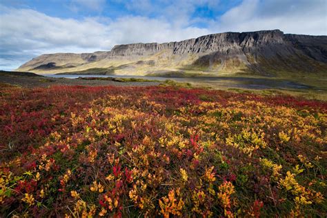 Autumn In Iceland Snaefellsness Peninsula West Iceland Travel