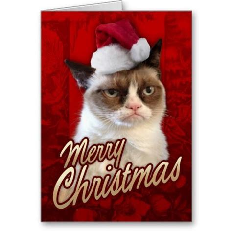 Merry Christmas Grumpy Cat Holiday Card Zazzle Merry Christmas