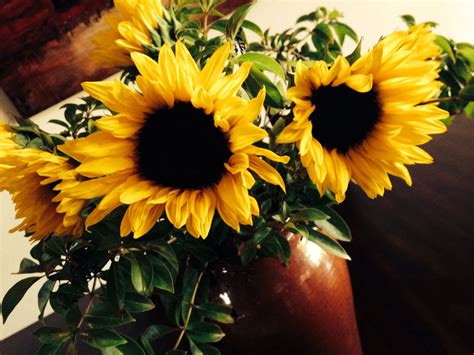 Nothing Like Sunflowers to Brighten your Day! GOOD DAY SUNSHINE! | Good day sunshine, Brighten ...