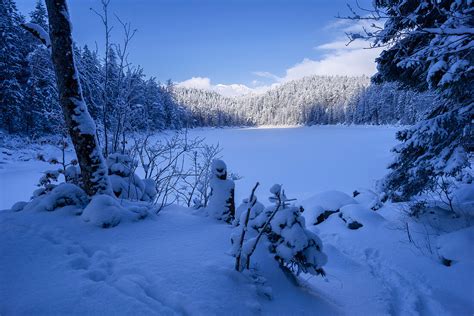 Winter Am Untersee Eibsee Grainau Bild Kaufen 71368515 Lookphotos