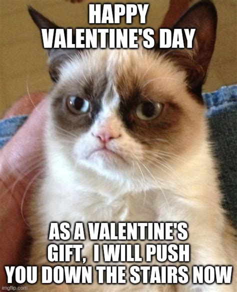 valentine s day cat imgflip