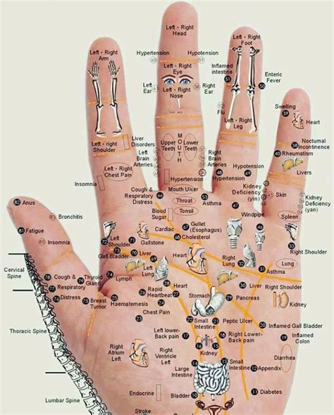 Chart Acupressure Points For Neck Pain In Hands