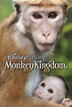 Monkey Kingdom (2015) - Posters — The Movie Database (TMDB)