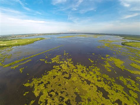 Seven Years After The Spill Restoring The Louisiana Coast Restore