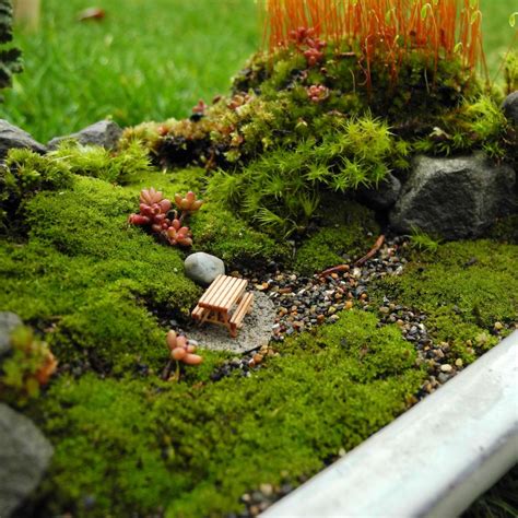 Miniature Moss Gardening ‣ The Mini Garden Guru