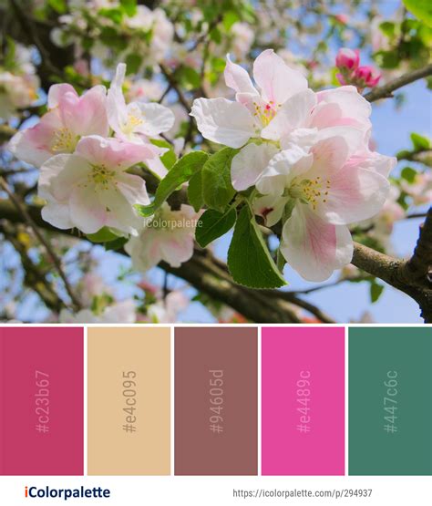 Color Palette Ideas From 1806 Blossom Images Icolorpalette Spring
