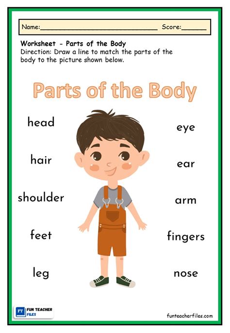 Parts Of The Body Worksheets Fun Teacher Files