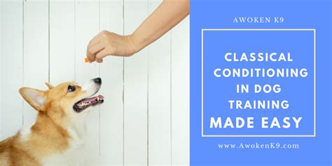 Classical Conditioning In Dog Training Made Easy Awoken K9 Dog
