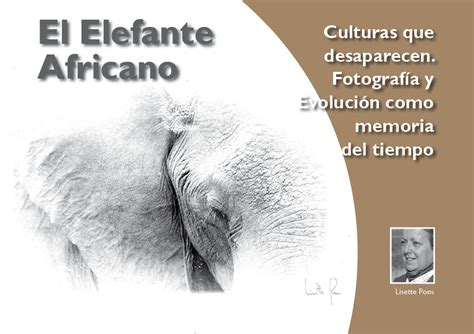 El Elefante Africano Culturas Que Desaparecen Fotografía Y Evolución