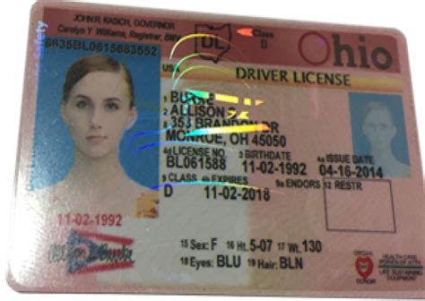 Driver's License Online | Driver license online, Drivers license ...