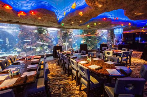 Worlds Best Underwater Restaurant And Bar Live Enhanced