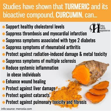 Turmeric And Its Bioactive Compound Curcumin Turmeric Health