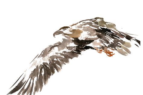 Soaring Eagle Ink Painting Season Solar Terms Png Transparent