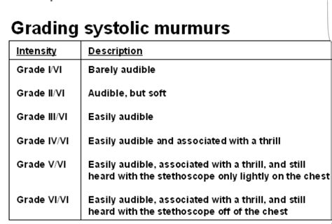 heart murmur in cats grade 2 almeda covert