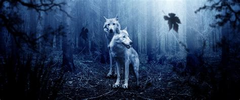 Download Wallpaper 2560x1080 Wolves Predators Forest Photoshop Dual