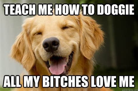 Teach Me How To Doggie All My Bitches Love Me Cute Sexual Dog Quickmeme