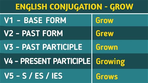 Conjugation English Verb To Grow Grow Past Tense Present Future