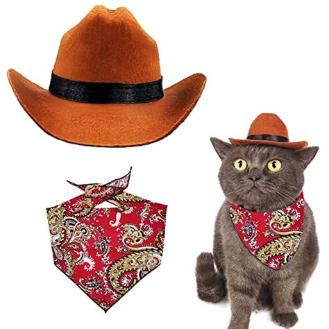 Best Cats To Wear Cowboy Hats