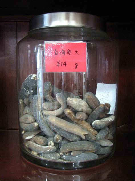 Sea cucumbers are marine animals of the class holothuroidea. Beche-de-mer is the dried body wall of a sea cucumber. It ...