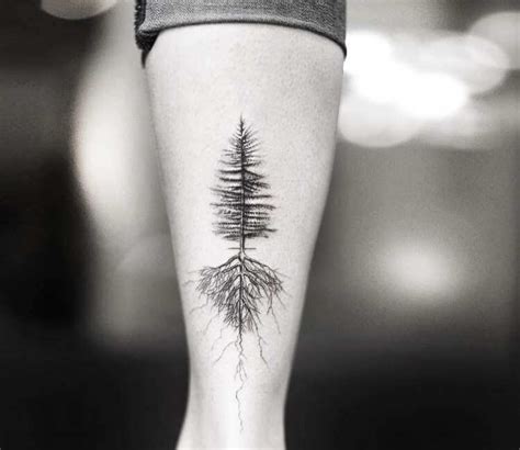 Fir Tree Roots Tattoo
