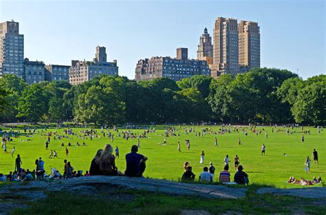 Free Images : tree, grass, skyline, hill, flower, city, manhattan