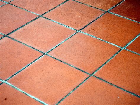 Terracotta Floor Tiles Lowes Two Birds Home