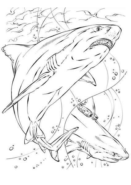 desenho pintar tubarão Desenho Pintar Desenhos para colorir
