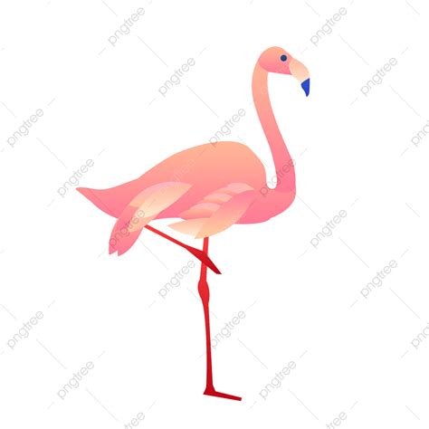Pink Flamingos Clipart Hd Png Pink Flamingo Decorative Elements