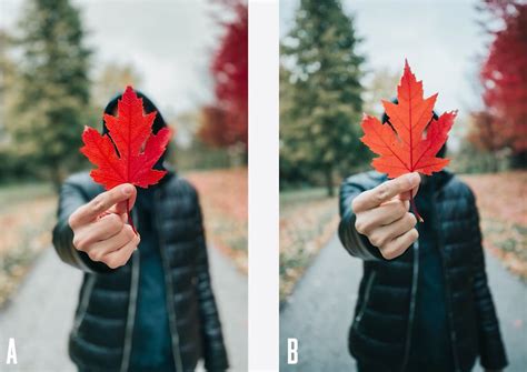 Check Out This Iphone 11 Pro Vs Canon Dslr Photoshoot Imore