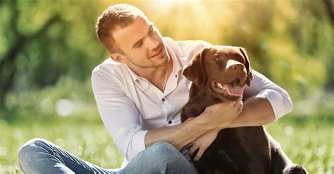 Depression is a mental illness that doesn't get cured by any medication or treatment. Can Pets Cure Depression? | PetMoneySaver