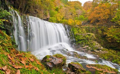 Waterfall In Autumn Curtain Of Water Trees With Yellow And