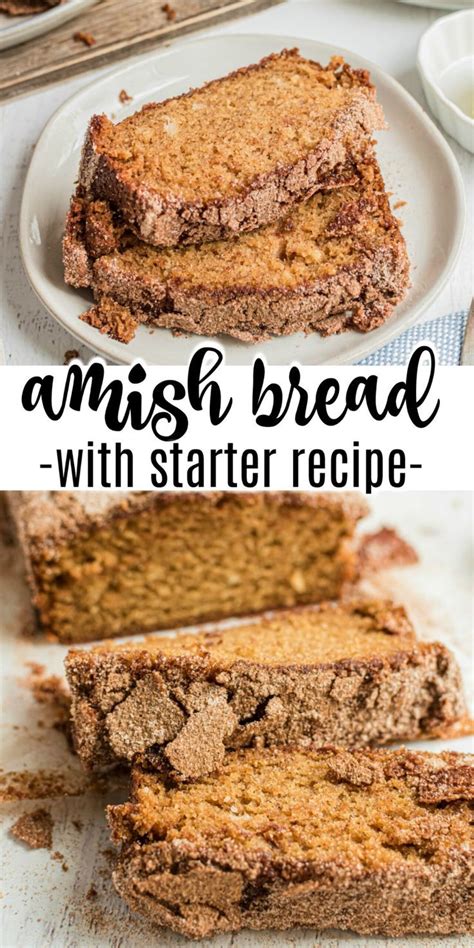 Our most trusted amish starter bread recipes. Amish Cinnamon Bread in 2020 | Friendship bread recipe, Amish friendship bread starter recipes ...