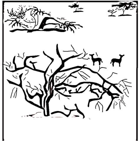 When citing a website the general format is as follows. Savanna coloring page | SuperColoring.com
