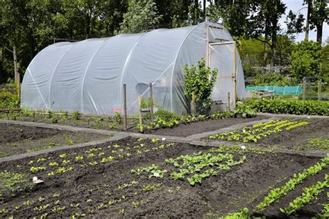 10 Best Greenhouse Plastic Sheets For Protection