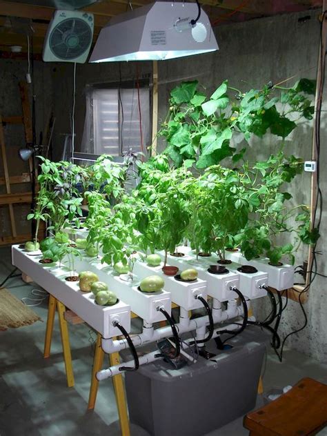 40 Easy To Try Hydroponic Gardening For Beginners Design Ideas And