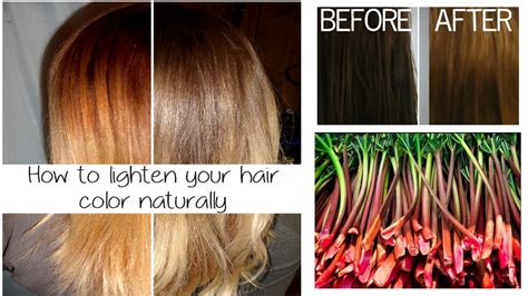 How To Lighten Your Hair Color Naturally Safe Your Hair From Chemicals