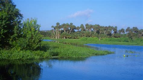 Lake Monroe Conservation Area | Volusia | Florida Hikes